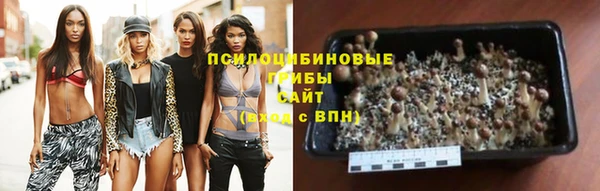 COCAINE Лабытнанги